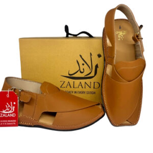 41 Zardari Style Chappal | Camel