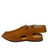 Zardari Style Chappal | Camel
